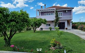 Apartman Galov